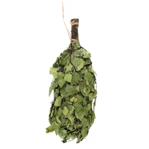 A bundle of birch leaves tied together, commonly used in saunas for body-washing and relaxation, hangs against a plain white background.